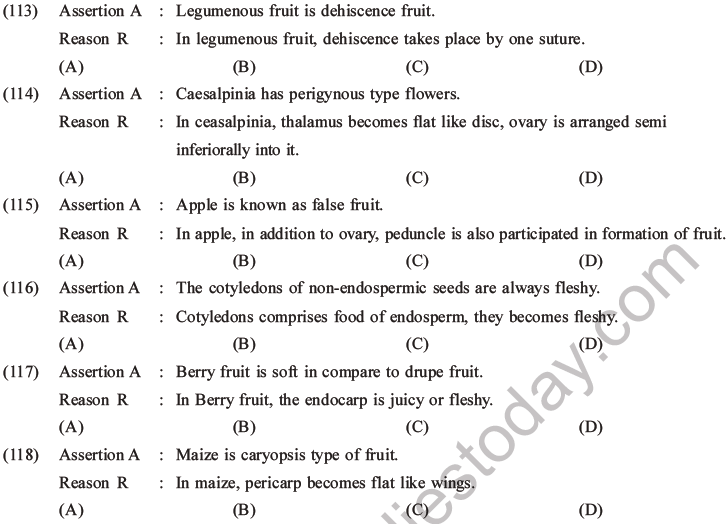 NEET Biology Morphology Of Plants MCQs Set C, Multiple Choice Questions